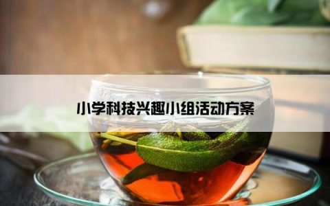 小学科技兴趣小组活动方案