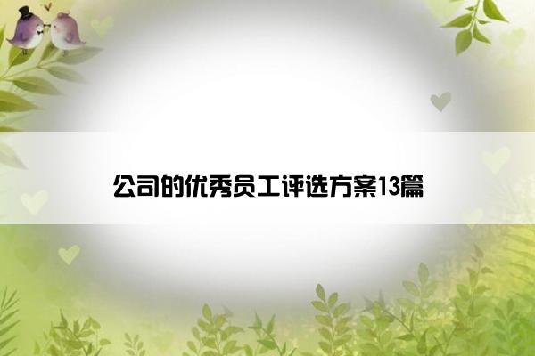 公司的优秀员工评选方案13篇