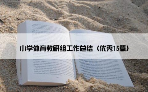 小学体育教研组工作总结（优秀15篇）
