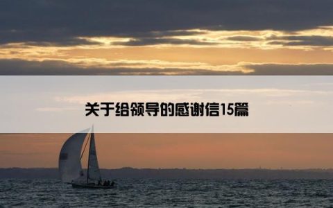 关于给领导的感谢信15篇