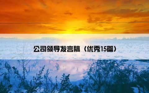 公司领导发言稿（优秀15篇）