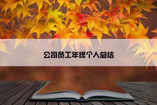 公司员工年终个人总结