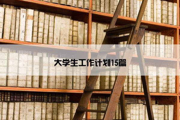 大学生工作计划15篇