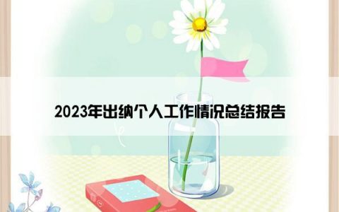 2023年出纳个人工作情况总结报告