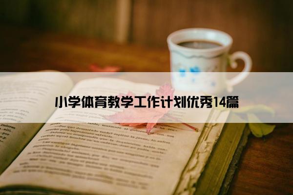 小学体育教学工作计划优秀14篇