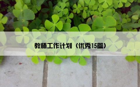 教师工作计划（优秀15篇）