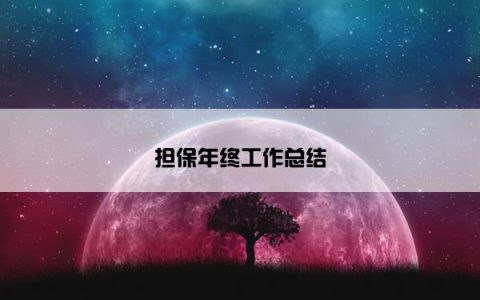 担保年终工作总结