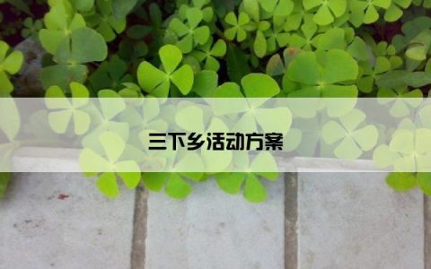 三下乡活动方案