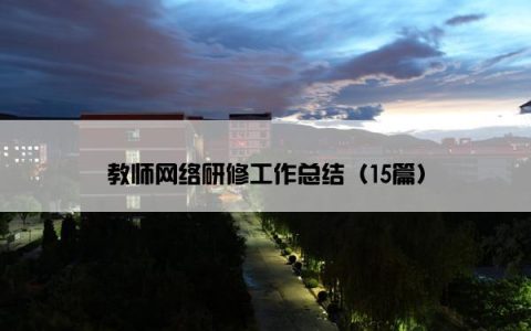 教师网络研修工作总结（15篇）