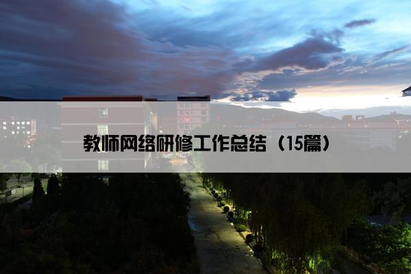 教师网络研修工作总结（15篇）