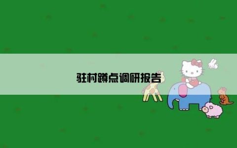 驻村蹲点调研报告