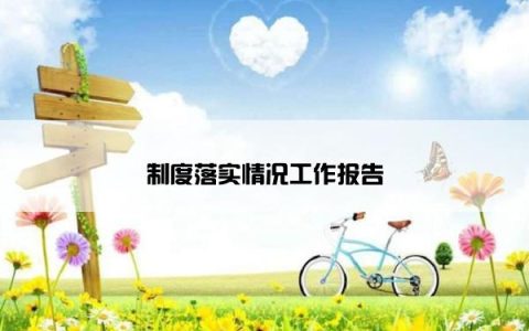 制度落实情况工作报告