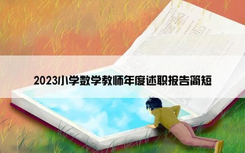 2023小学数学教师年度述职报告简短