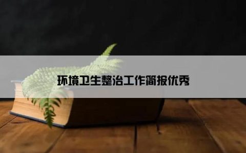 环境卫生整治工作简报优秀