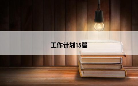 工作计划15篇