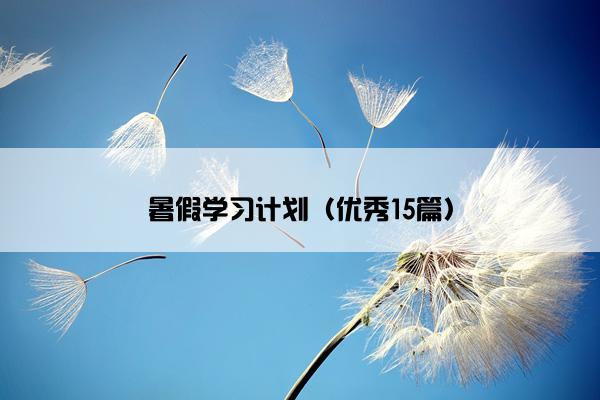 暑假学习计划（优秀15篇）