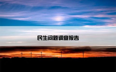 民生问题调查报告