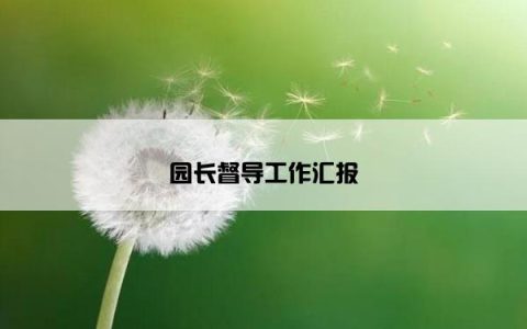 园长督导工作汇报
