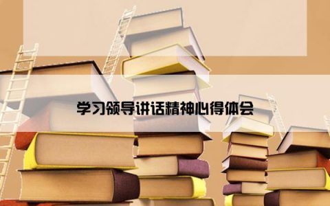 学习领导讲话精神心得体会