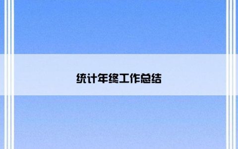 统计年终工作总结