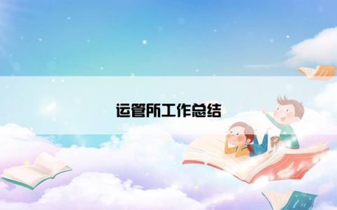 运管所工作总结