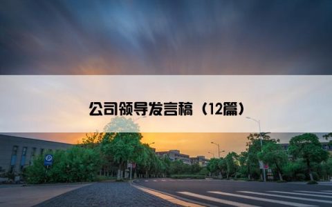 公司领导发言稿（12篇）