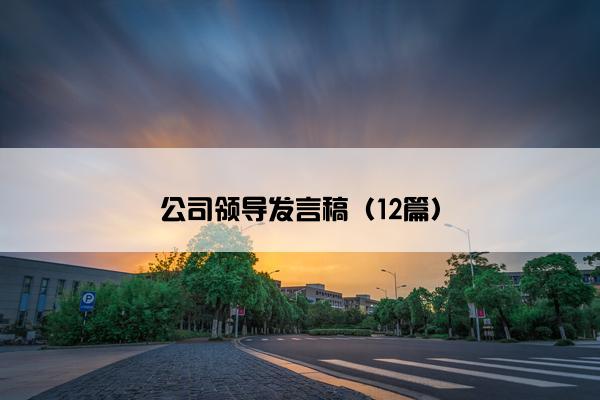 公司领导发言稿（12篇）