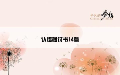 认错检讨书14篇