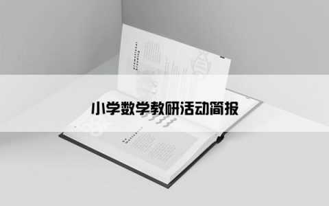 小学数学教研活动简报