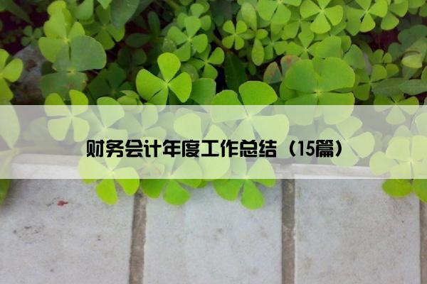 财务会计年度工作总结（15篇）