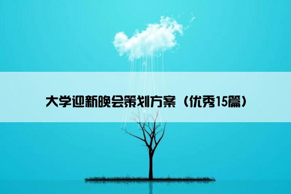 大学迎新晚会策划方案（优秀15篇）