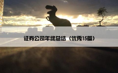 证券公司年终总结（优秀15篇）