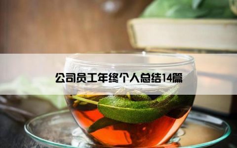 公司员工年终个人总结14篇