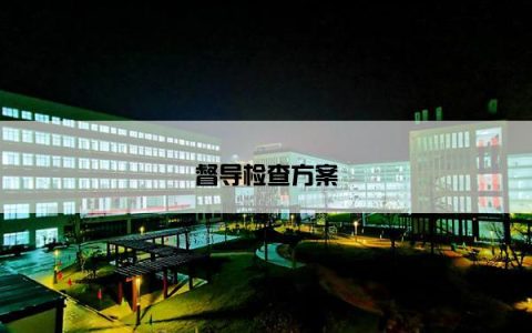督导检查方案