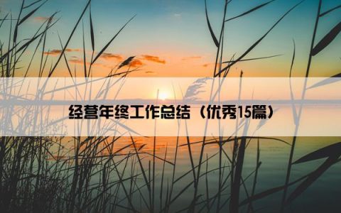 经营年终工作总结（优秀15篇）