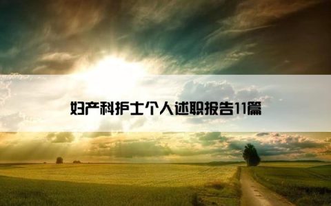 妇产科护士个人述职报告11篇