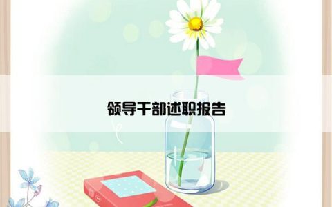 领导干部述职报告