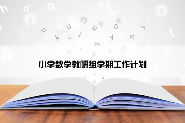 小学数学教研组学期工作计划