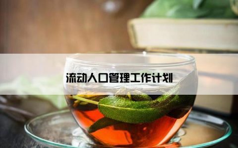 流动人口管理工作计划