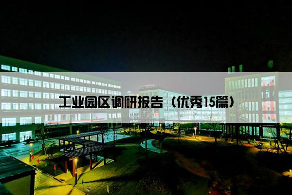 工业园区调研报告（优秀15篇）