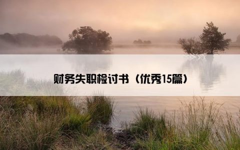 财务失职检讨书（优秀15篇）