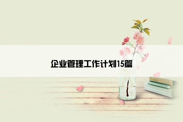 企业管理工作计划15篇