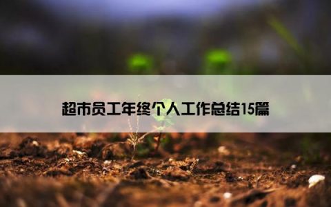 超市员工年终个人工作总结15篇