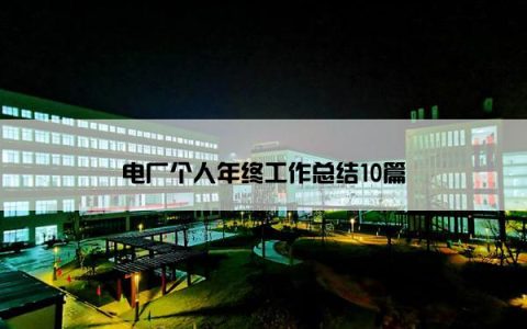 电厂个人年终工作总结10篇