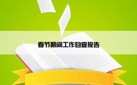 春节期间工作自查报告