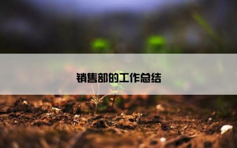 销售部的工作总结