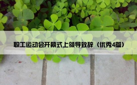职工运动会开幕式上领导致辞（优秀4篇）