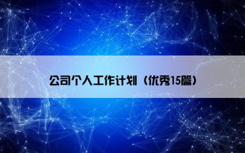 公司个人工作计划（优秀15篇）