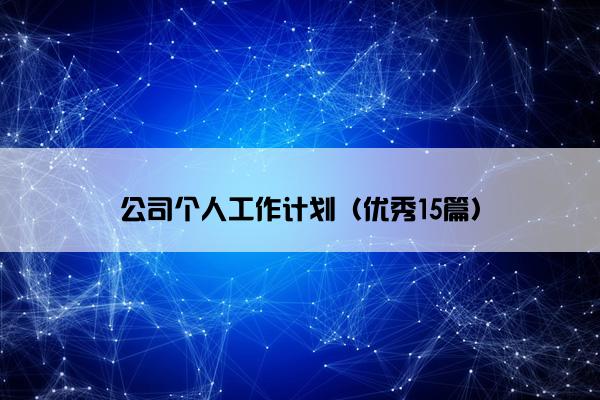 公司个人工作计划（优秀15篇）