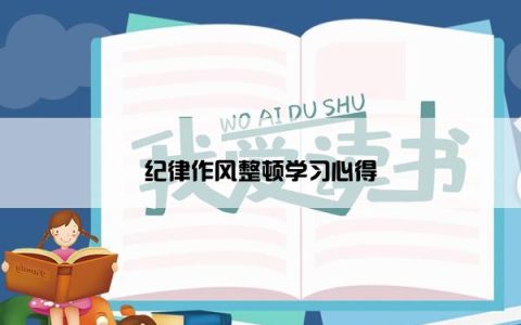 纪律作风整顿学习心得